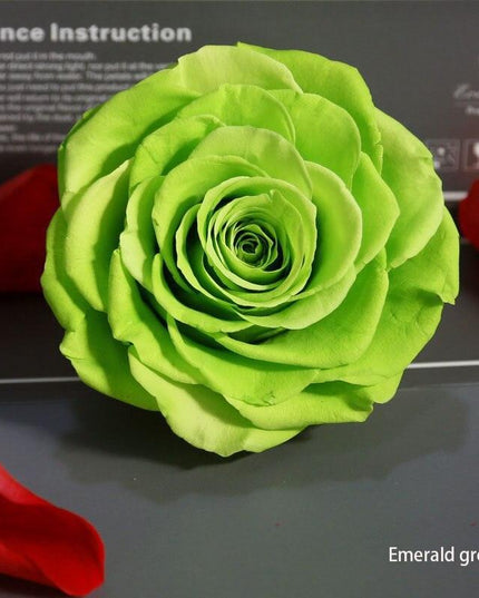 Timeless Grace: Luxurious Preserved Rose Head for Lasting Splendor