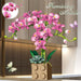 Create Your Own Stunning Orchid Bouquet with This DIY Floral Craft Kit