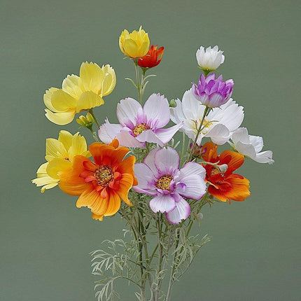 Charming Silk Queen Cosmos Flower Stem: Elegant Gesang Floral Branch