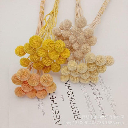 Elegant Golden Ball Dried Flower Set - 20pcs for Home and Wedding Decoration