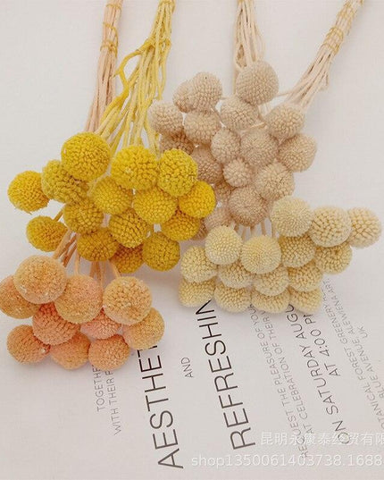 Elegant Golden Ball Dried Flower Set - 20pcs for Home and Wedding Decoration