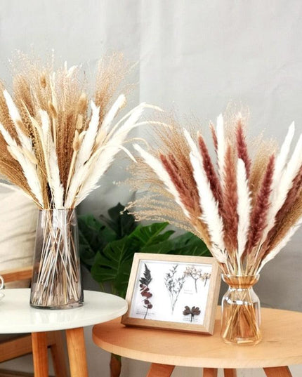 Chic 30-Piece Natural Dried Pampas Grass Rabbit Tail Bundle for Stylish Home Decor