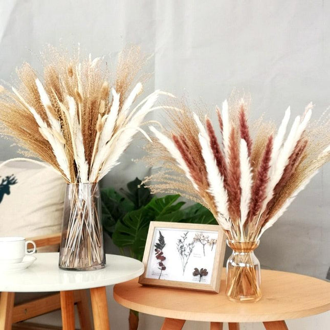 Chic 30-Piece Natural Dried Pampas Grass Rabbit Tail Bundle for Stylish Home Decor