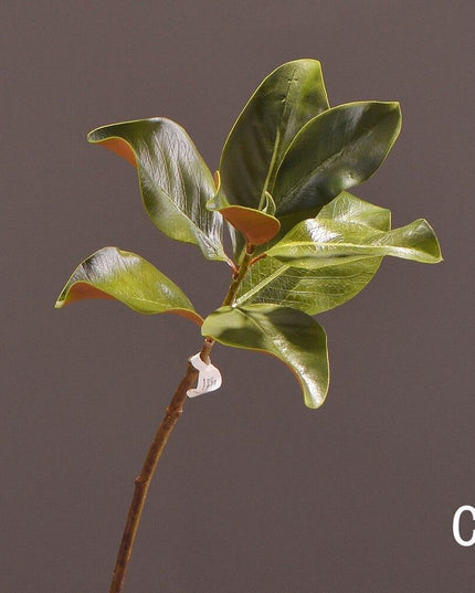 Exquisite Customizable Silk Magnolia Flower Arrangement with Tailored Stems