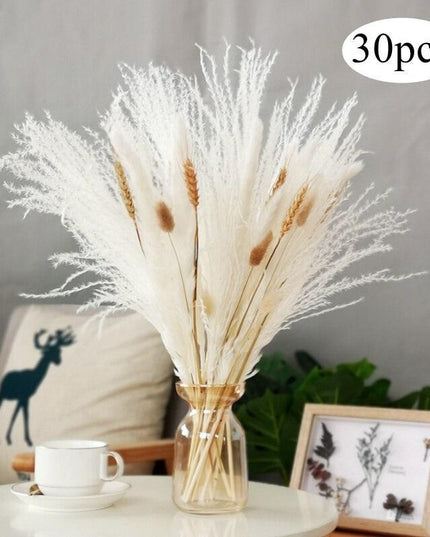 Chic 30-Piece Natural Dried Pampas Grass Rabbit Tail Bundle for Stylish Home Decor