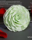 light green / 9-10cm(1pc)