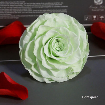 Timeless Grace: Luxurious Preserved Rose Head for Lasting Splendor