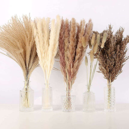 Natural Dried Pampas Grass Bouquet Collection - 75 Stems