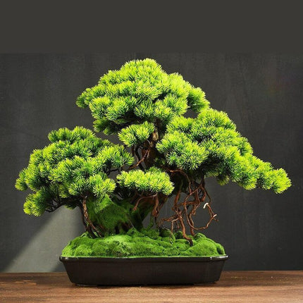 Tranquil Retreat Faux Pine Bonsai - Elegant Zen Decor Element