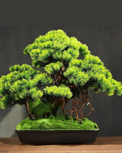 Tranquil Retreat Faux Pine Bonsai - Elegant Zen Decor Element