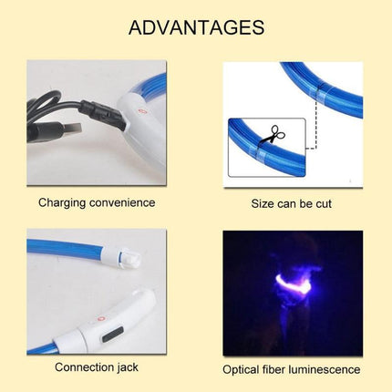Illuminated USB Rechargeable Dog Collar for Optimal Night Safety and Visibility