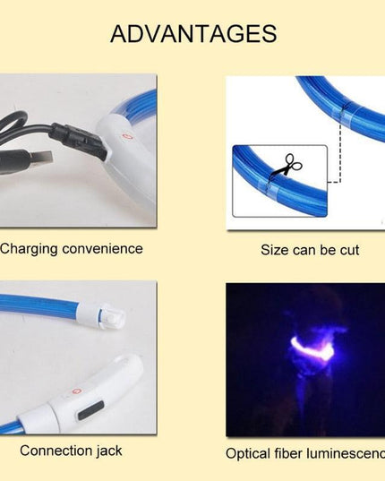 Illuminated USB Rechargeable Dog Collar for Optimal Night Safety and Visibility