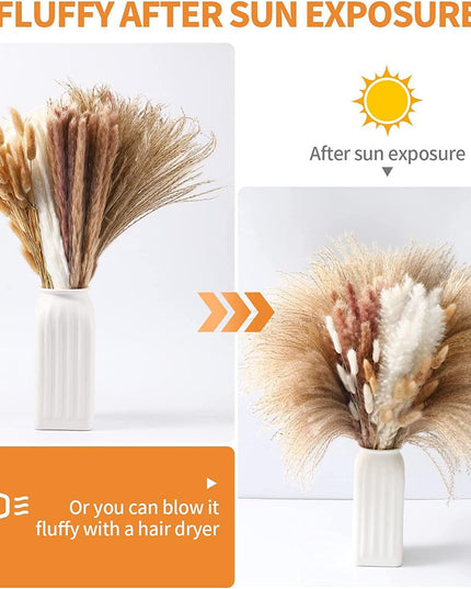 Dried Pampas Grass Bouquet - Elegant Rustic Decor for Homes and Weddings