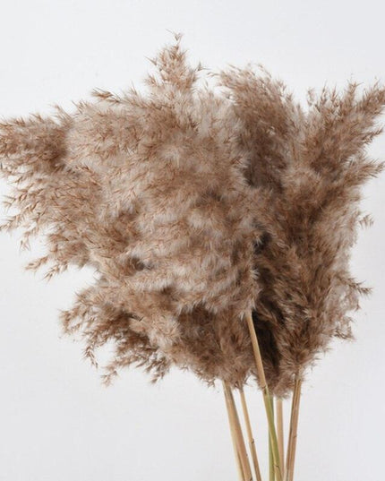 Dried Pampas Grass Bouquet - Elegant Rustic Decor for Homes and Weddings