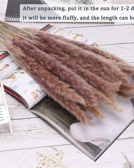 Timeless Elegance Pampas Grass Arrangement: A Chic Addition to Your Home Decor