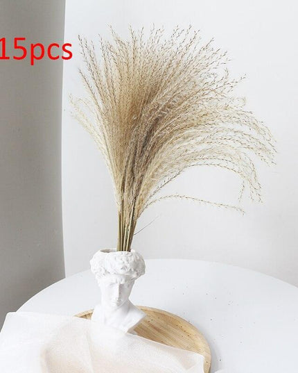 Boho-Inspired Pampas Grass Arrangement: Perfect for Weddings and Home Styling
