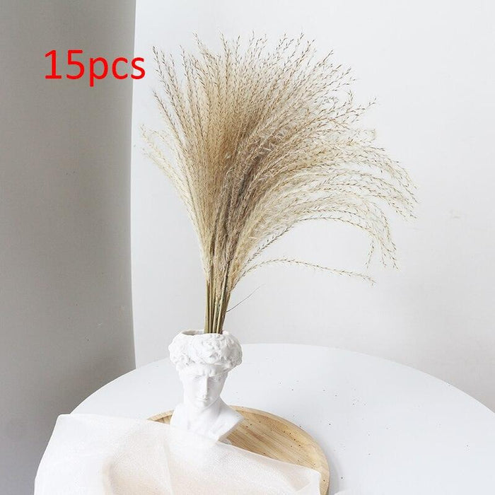 Boho-Inspired Pampas Grass Arrangement: Perfect for Weddings and Home Styling