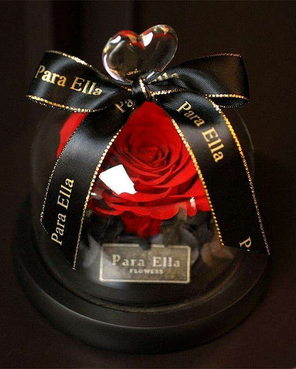 Timeless Floral Display - Preserved Rose Under Glass for Lasting Elegance