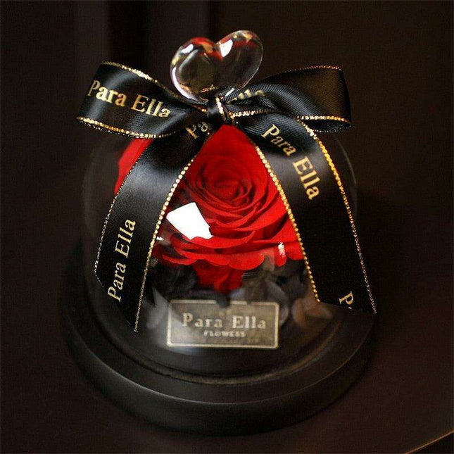 Timeless Floral Display - Preserved Rose Under Glass for Lasting Elegance