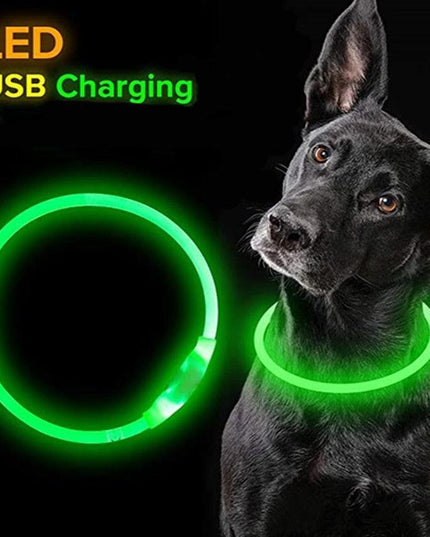Illuminated USB Rechargeable Dog Collar for Optimal Night Safety and Visibility