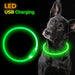 Nighttime Illumination LED Dog Collar with Easy USB Recharge