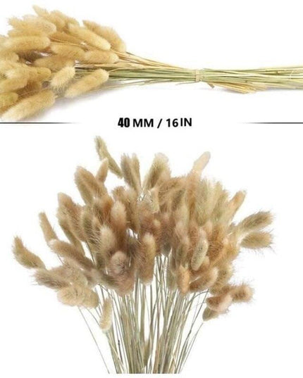 Timeless Elegance Pampas Grass Arrangement: A Chic Addition to Your Home Decor