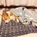 Cozy Flannel Pet Bed: Luxurious Comfort for Puppies and Cats