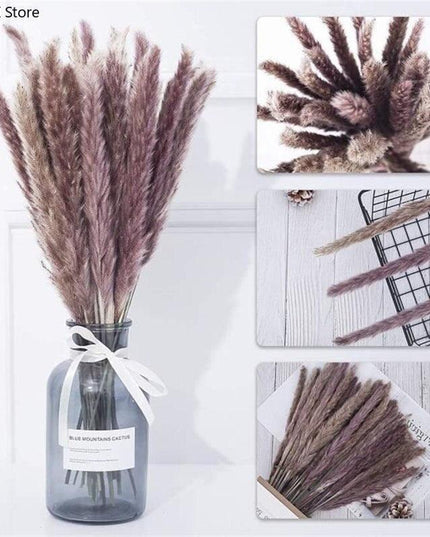 Timeless Elegance Pampas Grass Arrangement: A Chic Addition to Your Home Decor