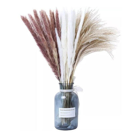 Elegant Dried Pampas Grass Bouquet for Stylish Home Accents