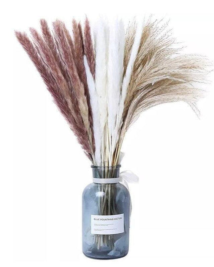 Elegant Dried Pampas Grass Bouquet for Stylish Home Accents