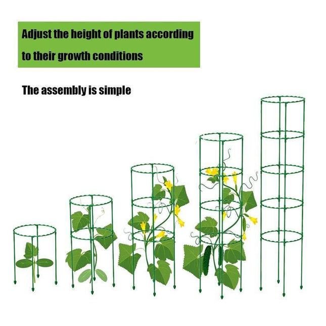 Versatile Plant Support Stake: Essential Tool for Thriving Gardens and Greenhouses