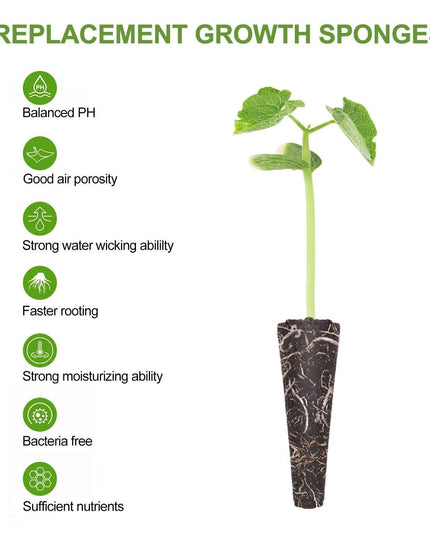 Root-Boosting Hydroponic Seedling Pods for Seamless Gardening
