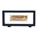 Elegant 3D Display Case for Jewelry and Coin Treasures
