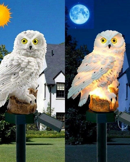 Enchanting Solar-Powered Owl and Parrot Garden Lights for Magical Outdoor Ambiance
