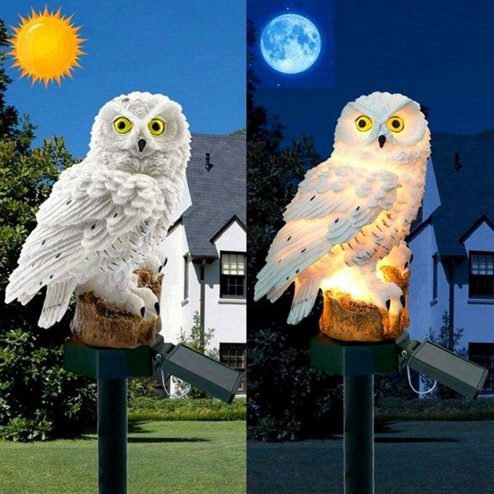 Enchanting Solar Owl Parrot Lights for Your Outdoor Oasis