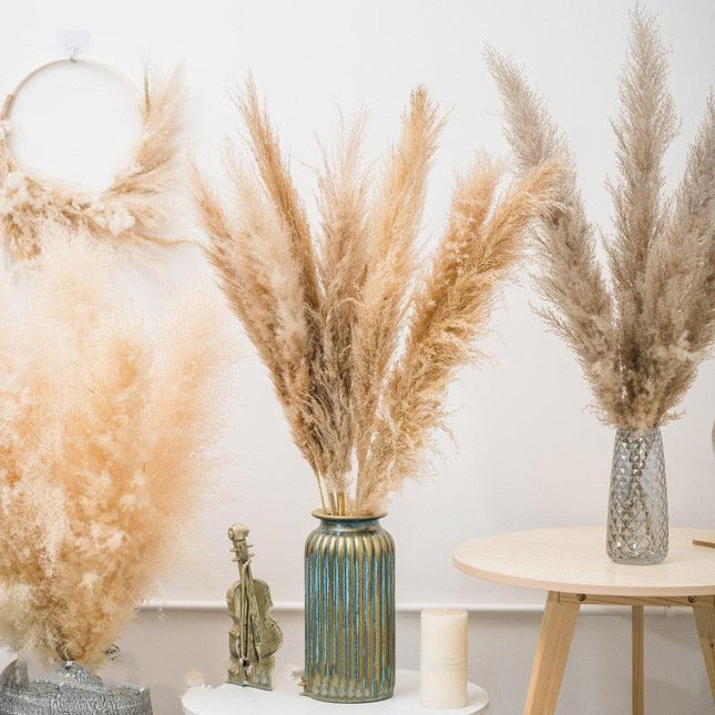 Bohemian Elegance: Pampas Grass and Reed Arrangement for Home Decor