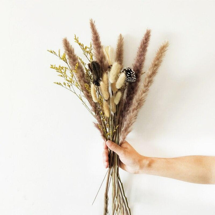 Elegant Natural Dried Pampas Grass Bundle for Stylish Indoor Decoration