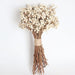 Elegant White Dried Flower and Mini Fruit Arrangement for Home and Events