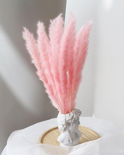 Elegant Dried Pampas Grass Arrangement for Trendy Home Styling