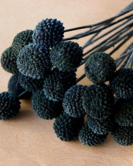 Elegant Golden Ball Dried Flower Set - 20pcs for Home and Wedding Decoration