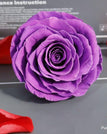 purple / 9-10cm(1pc)