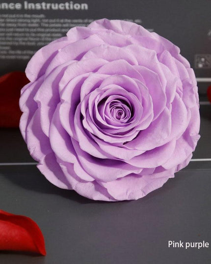 Timeless Grace: Luxurious Preserved Rose Head for Lasting Splendor
