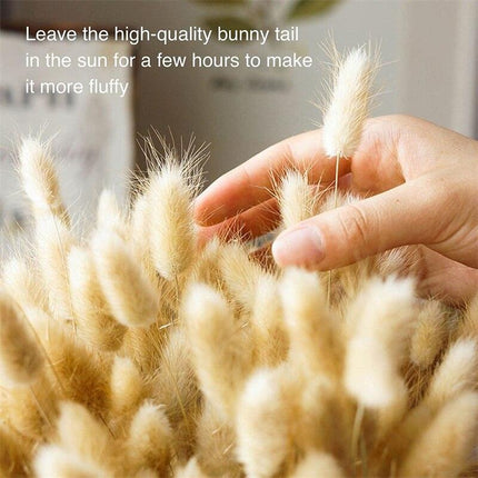 Whimsical Dried Bunny Tail Floral Arrangement - Elegant Home Decor