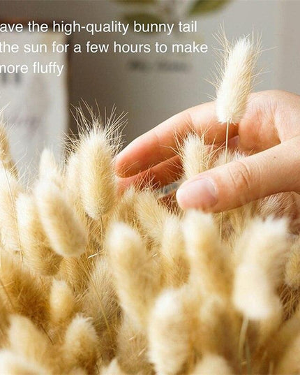 Whimsical Dried Bunny Tail Floral Arrangement - Elegant Home Decor