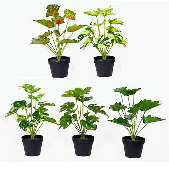 Lush Green Artificial Turtle Leaf Plant - Bundle of 12 Foliage Heads