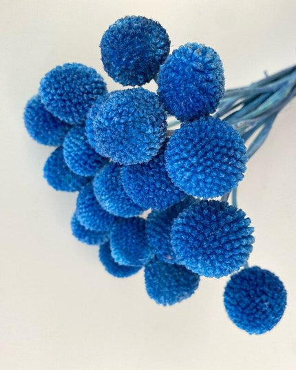 Elegant Golden Ball Dried Flower Set - 20pcs for Home and Wedding Decoration