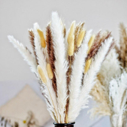 Natural Dried Rabbit Tail Pampas Grass Decorative Bundle - 80 Stems