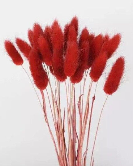 Rustic Boho Bunny Tail Dried Flower Arrangement for Weddings and Home Decor