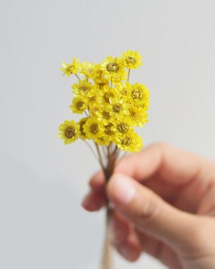 Elegant Starry Mini Floral Arrangement - Perfect for Weddings and Home Accents