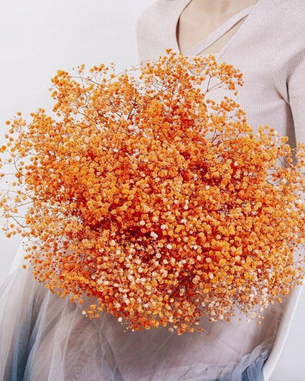 Elegant Preserved Baby's Breath Flowers: A Stylish Touch for Your Events and Home Decor